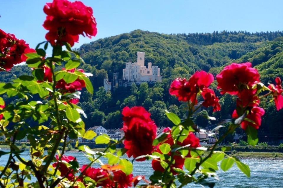 Villa Lahr Lahr  Zewnętrze zdjęcie